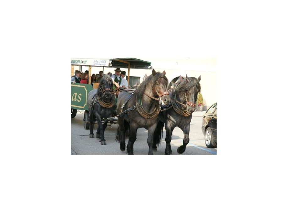 Weinhaus Huber, Attergaustraße in Sankt Georgen im Attergau
