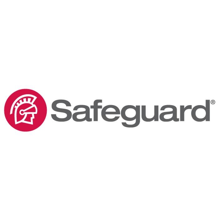 Safeguard Business Systems Image