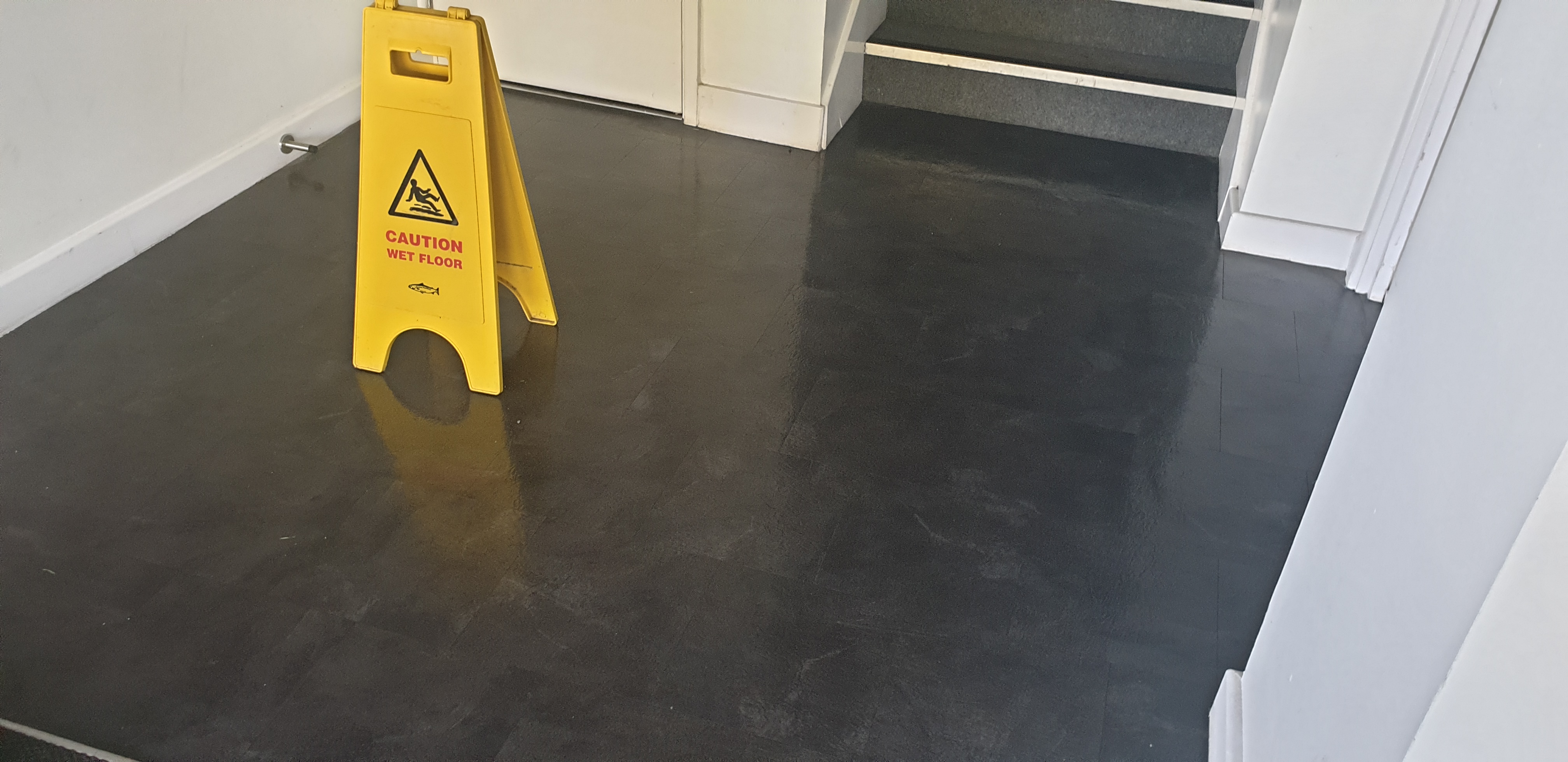 Emperor Cleaning Services West Molesey 020 8979 7567