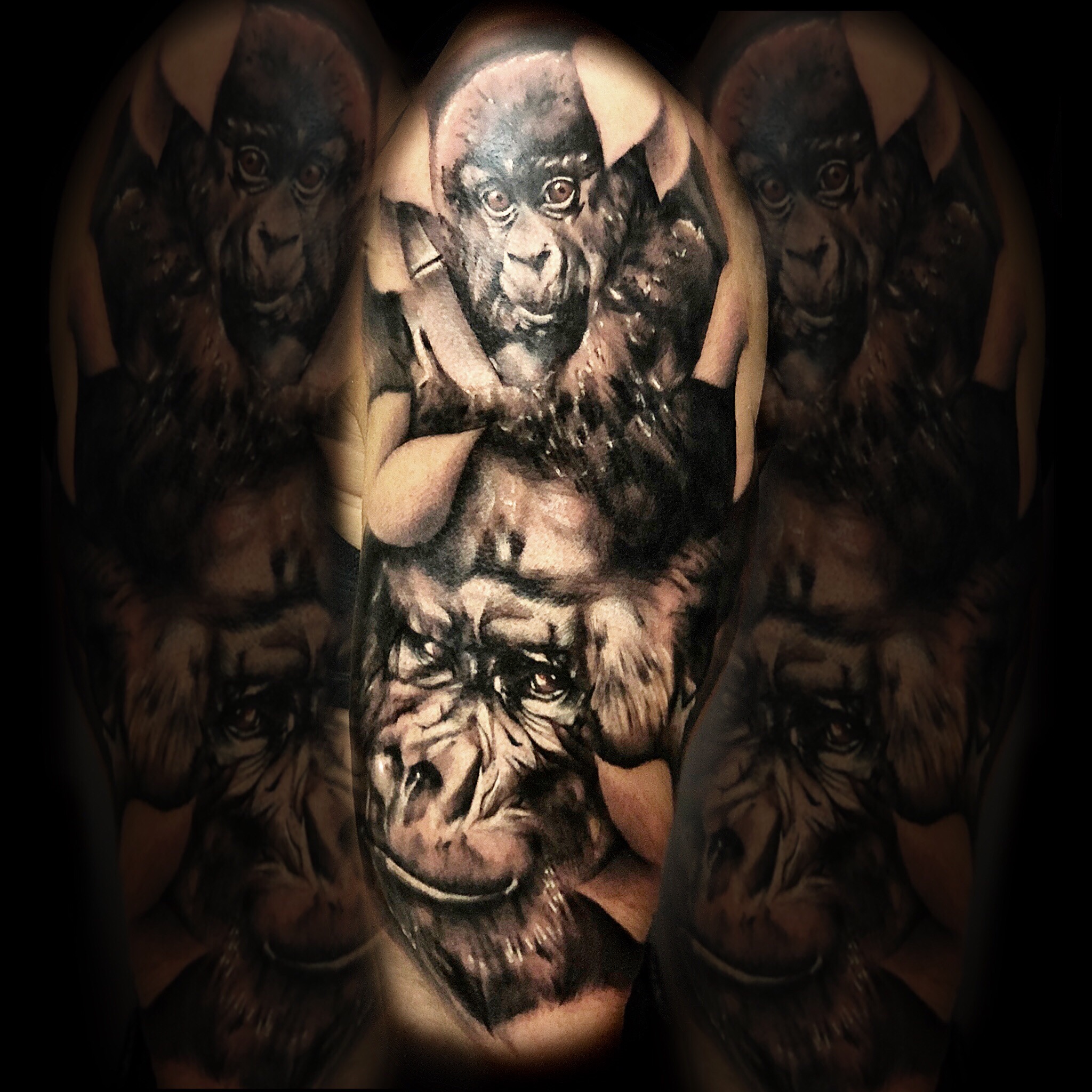 Galerie-Thumbnail