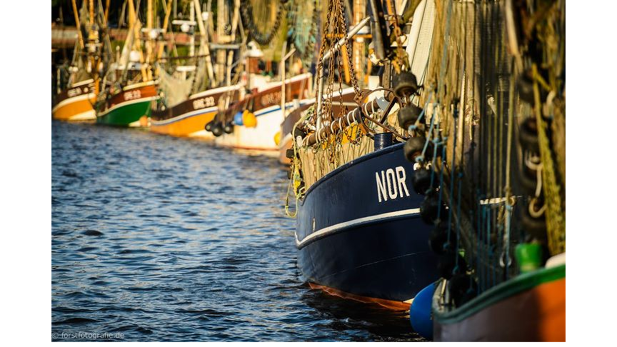 NBC Touristik und Ferienimmobilien Service, Kapitänsring in Krummhörn