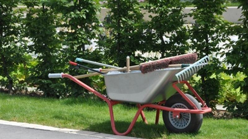Hausmeisterservice Wedel, Palmbachstraße in Aarbergen