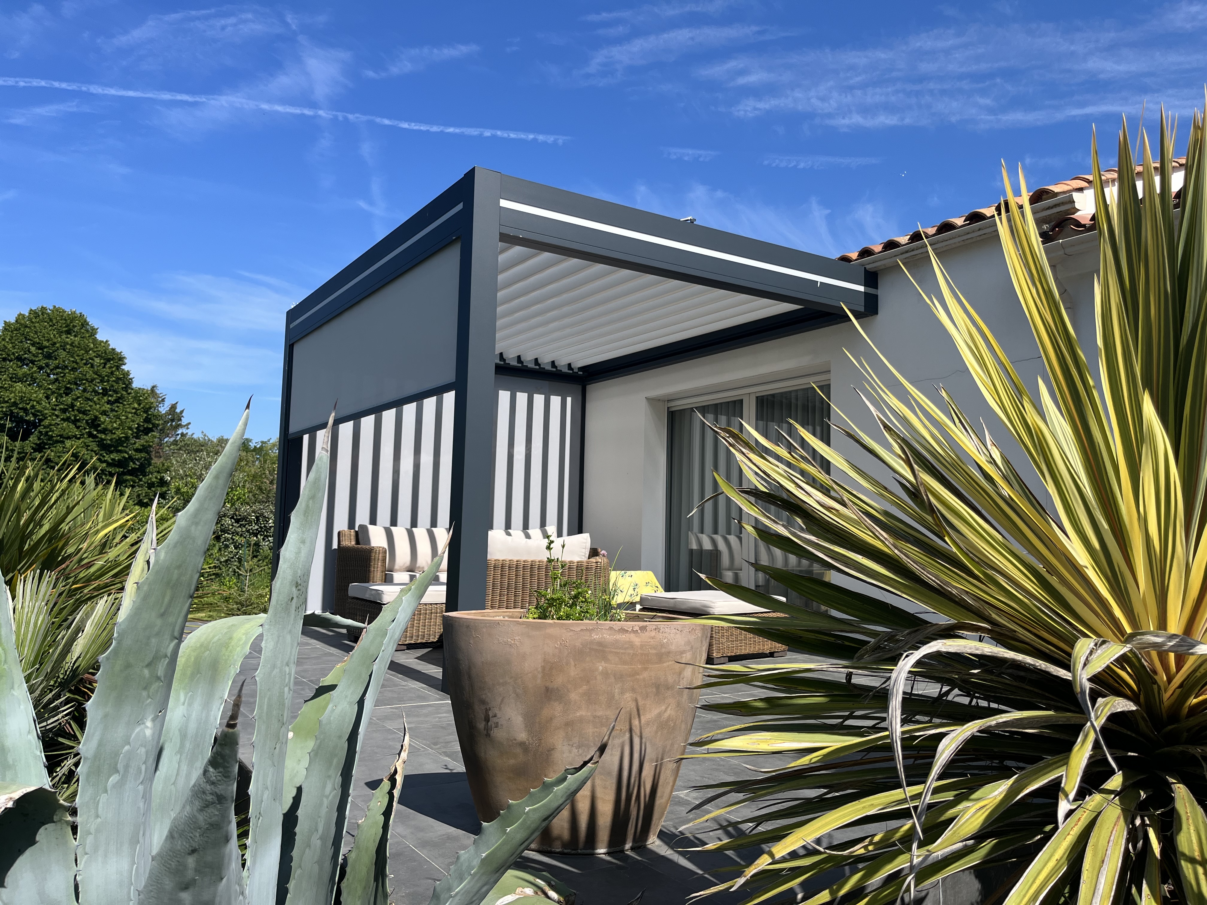 Miniature de la galerie