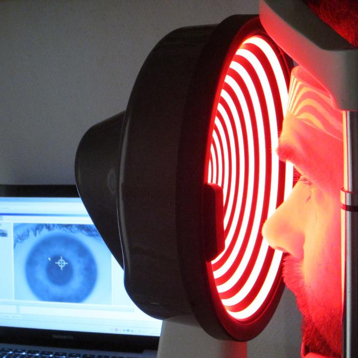 Optik Radke, Maxim-Gorki-Straße in Magdeburg