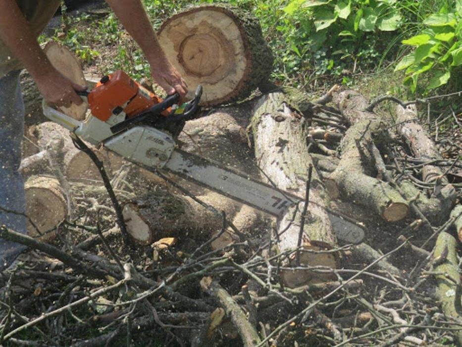 Doug's Tree Service - Abingdon, MD