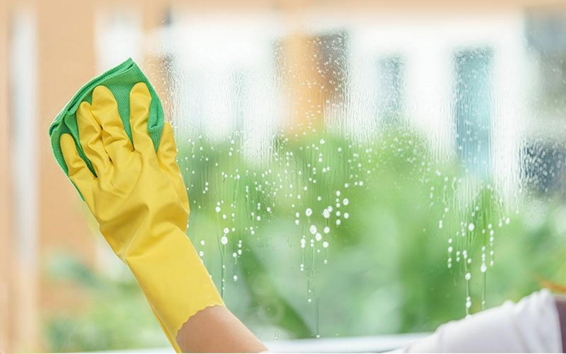 Eco-Dazzle Cleaning Services - Ocoee, FL