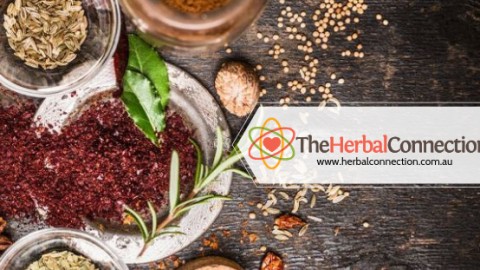 Foto de The Herbal Connection