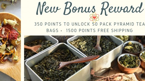 The Herbal Connection Gold Coast