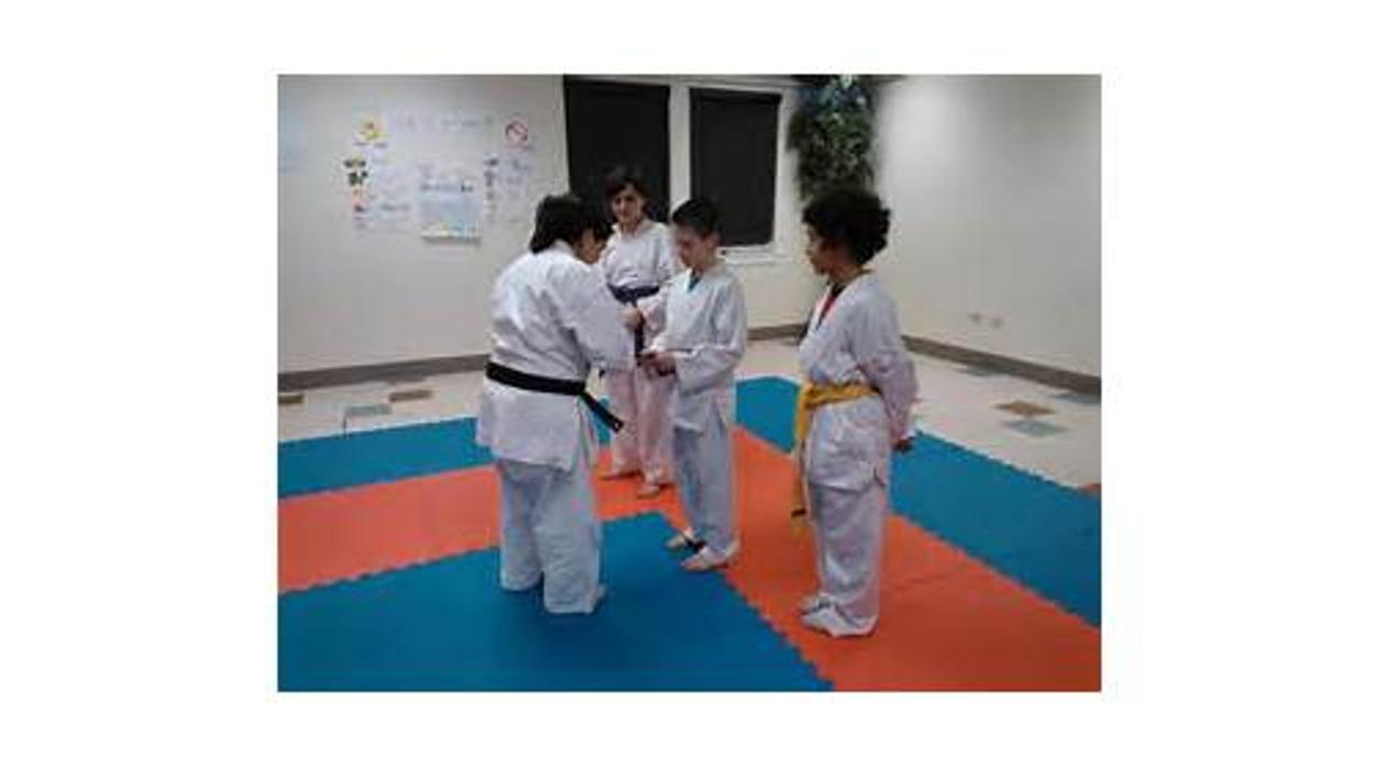 Treasure Valley School of Karate Image