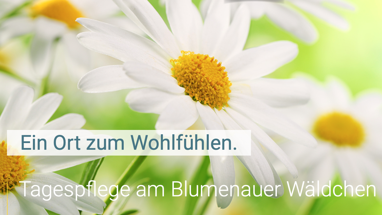 Tagespflege Blumenauer Wäldchen, tegeler Pflege und Gesundheit GmbH, Hasselhorster Straße in Wunstorf