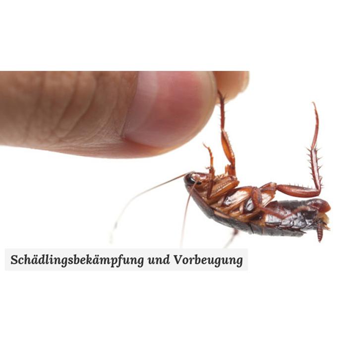 Enviro Pest Control GmbH, Karl-Marx-Straße in Biederitz