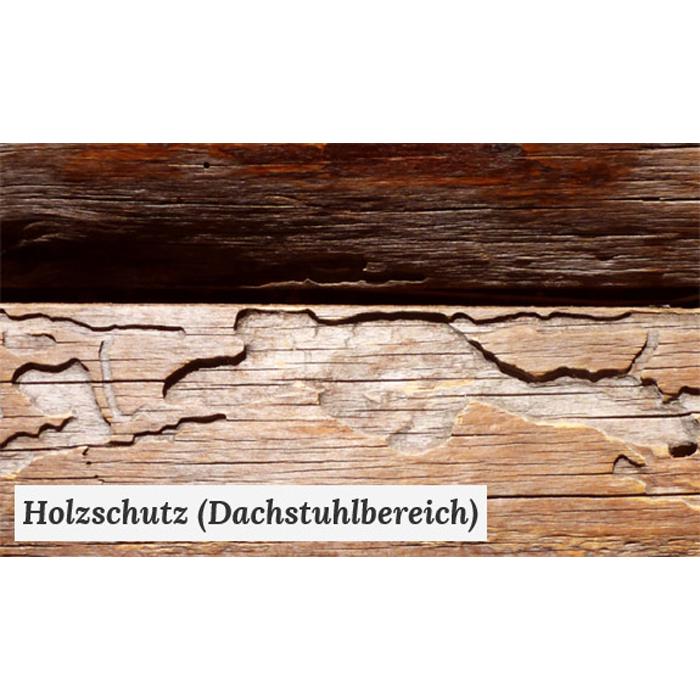 Enviro Pest Control GmbH, Karl-Marx-Straße in Biederitz