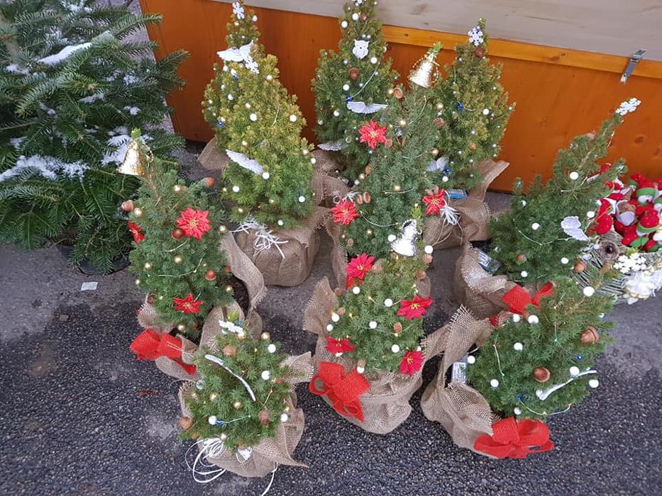 Gomolkas Blumeninsel, Tullnerstraße in Stockerau