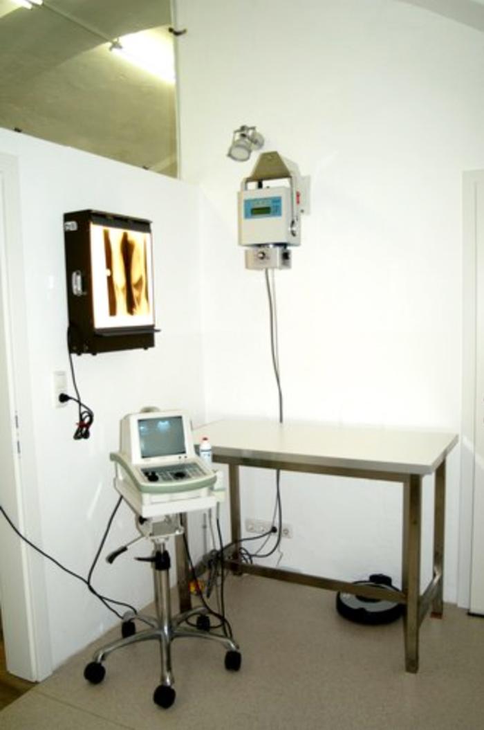 Kleintier Ordination - Mag. Jutta Drack, Redlmühle in Grünau im Almtal