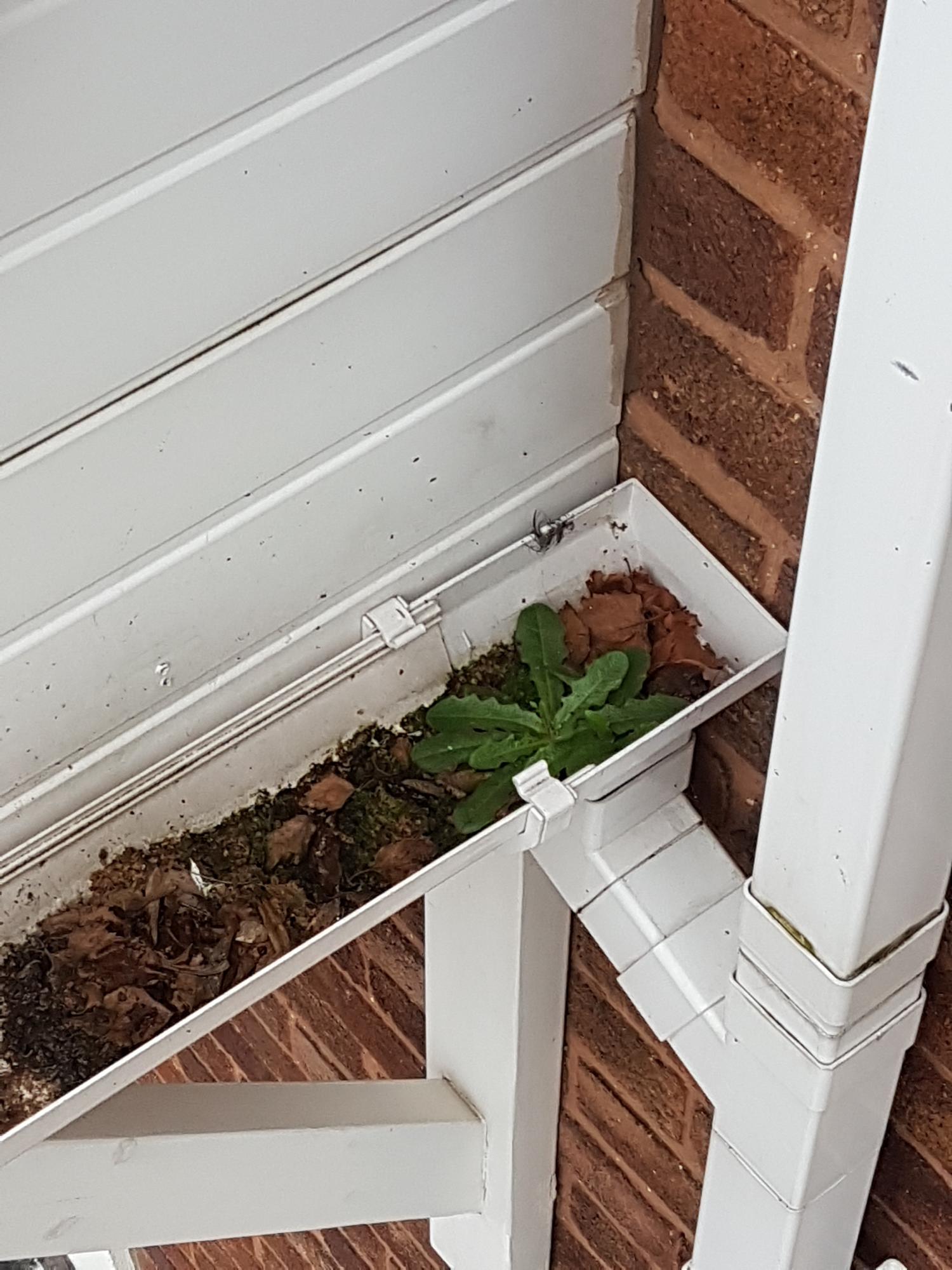 Gutter Mate Local Wolverhampton 07581 005232