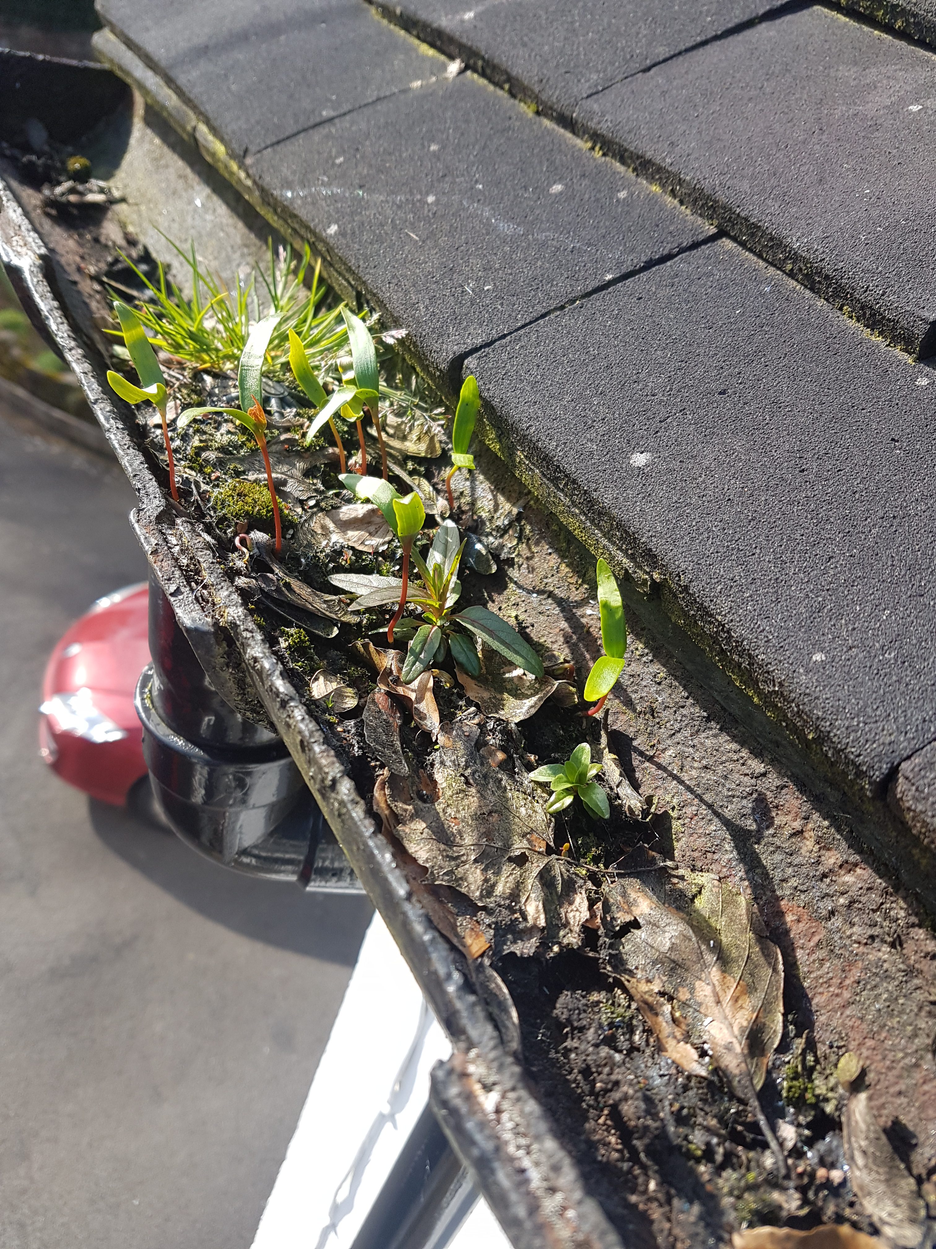 Gutter Mate Local Wolverhampton 07581 005232