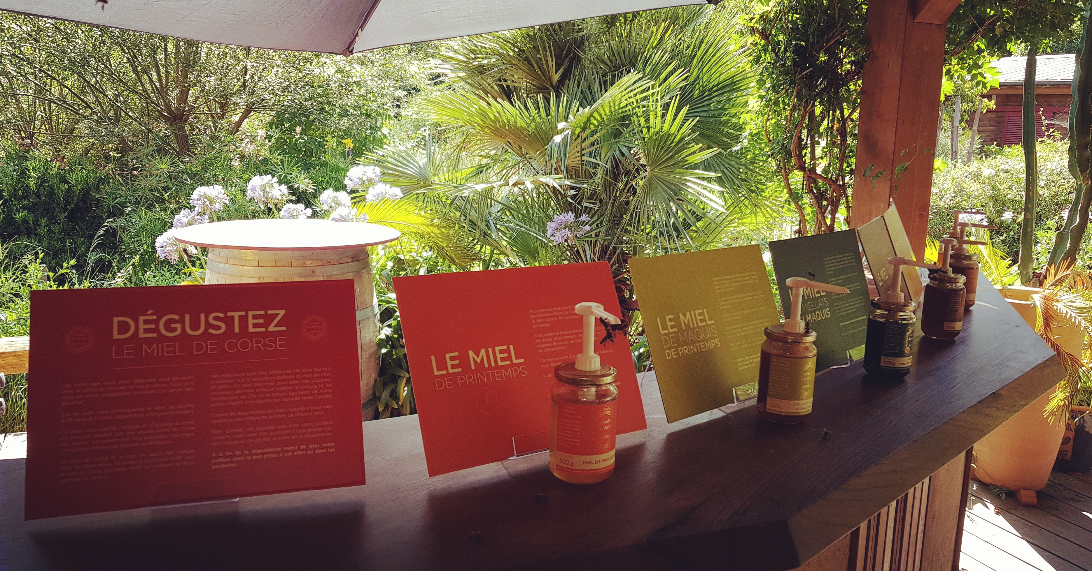 Miniature de la galerie