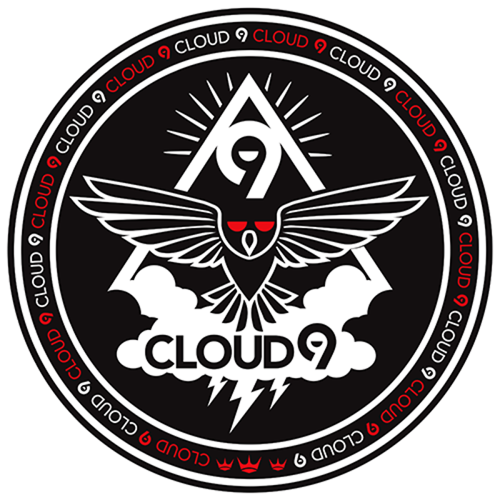 Cloud 9 Everything Inc.