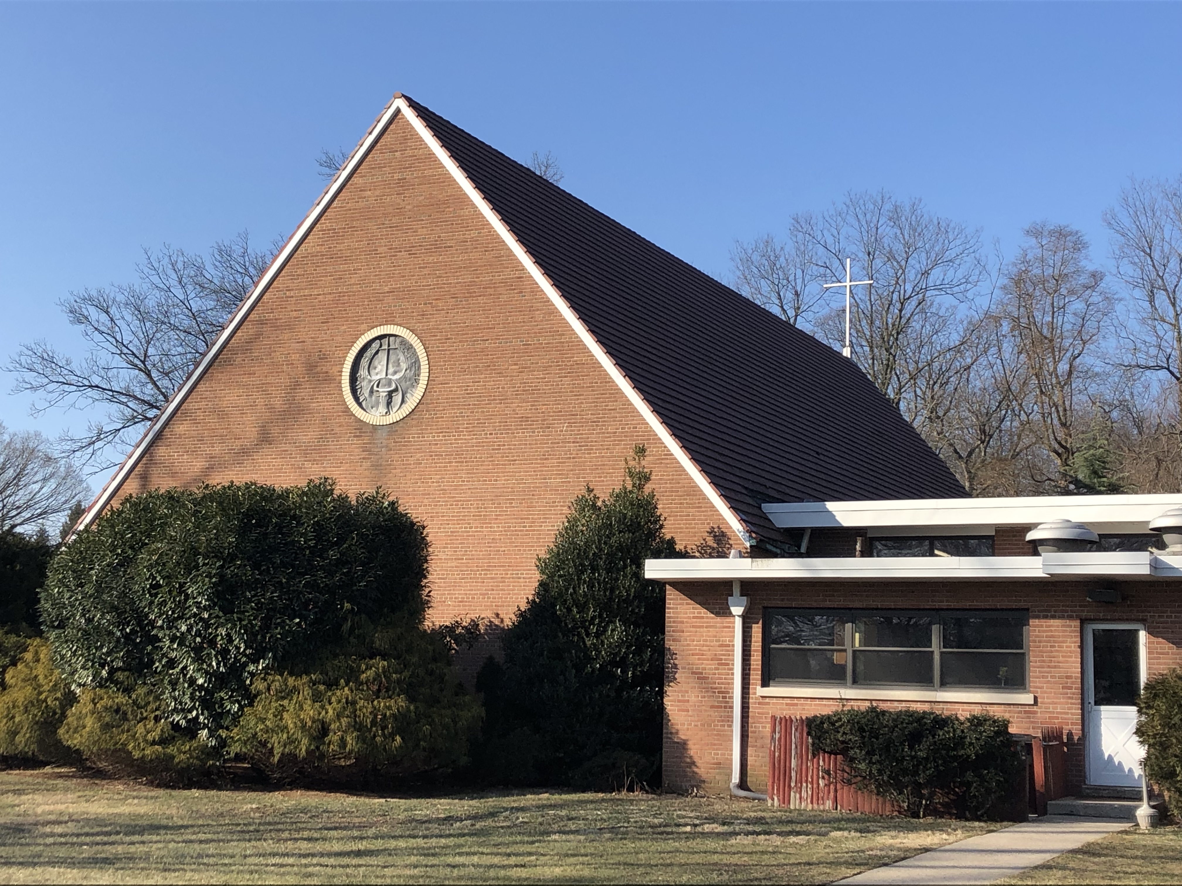 Circular Image
