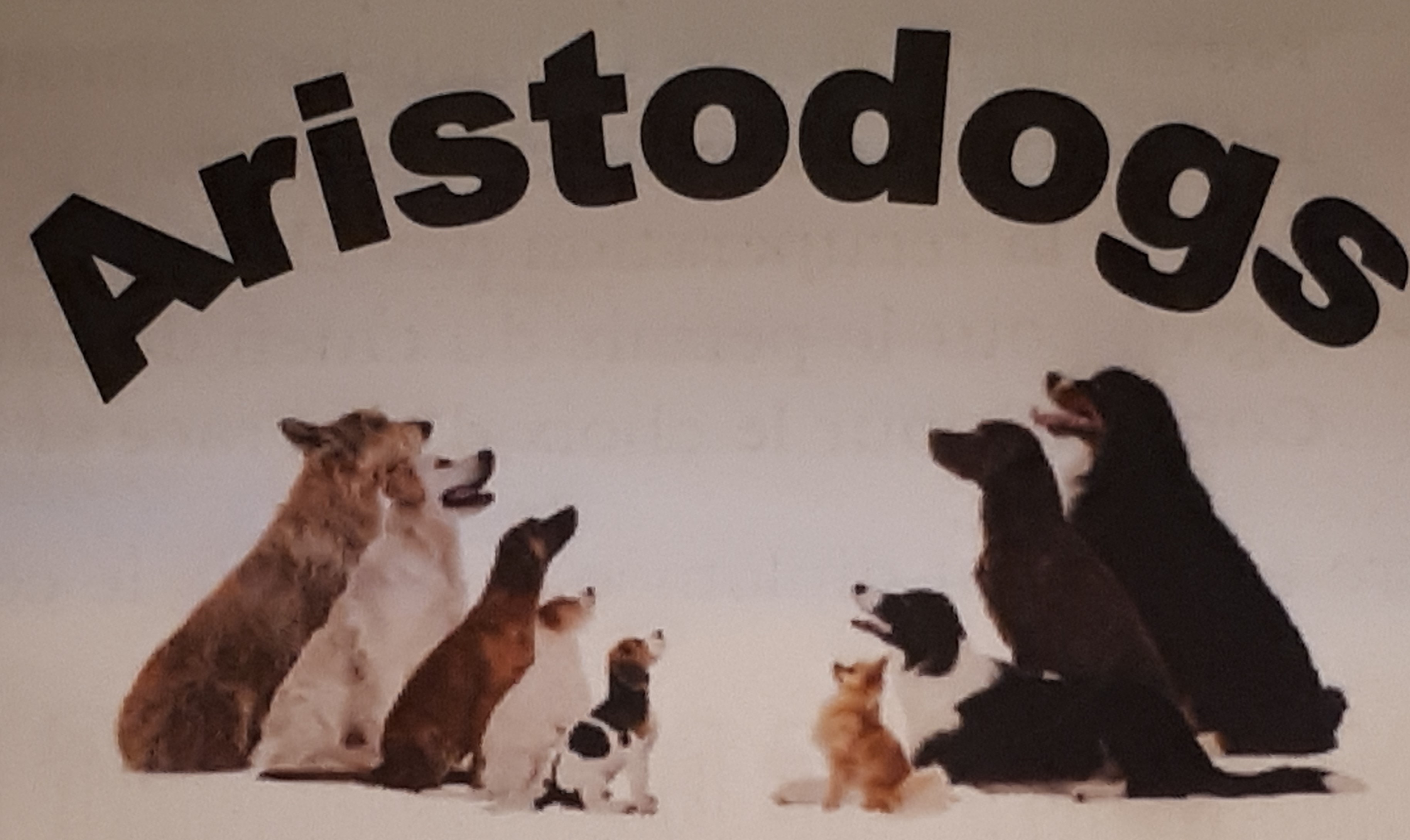 dressage chien vicq