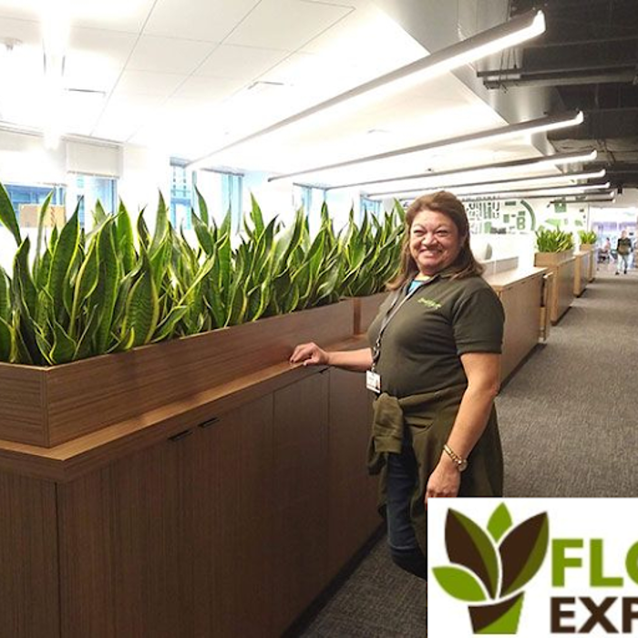 Flora Explora - Medfield, MA