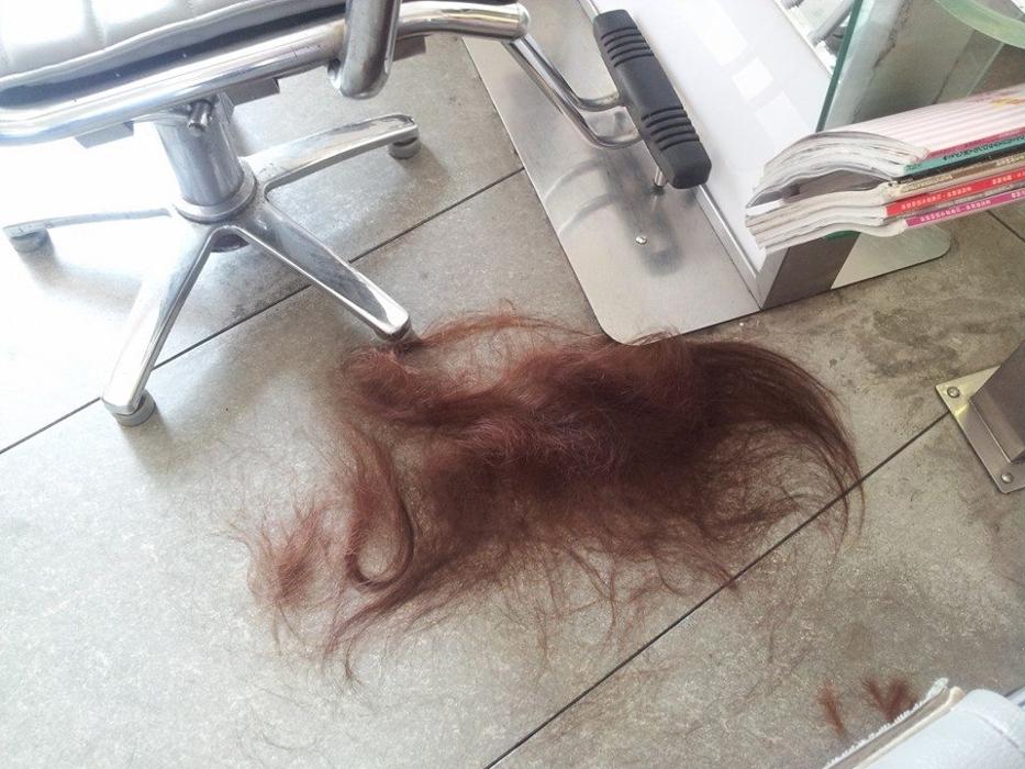 TWIN HAIR - Susanne Mozelt, Hauptstraße in Mitterndorf an der Fischa