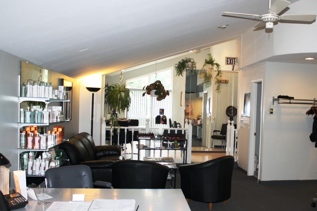 Chameleon European Salon Logo