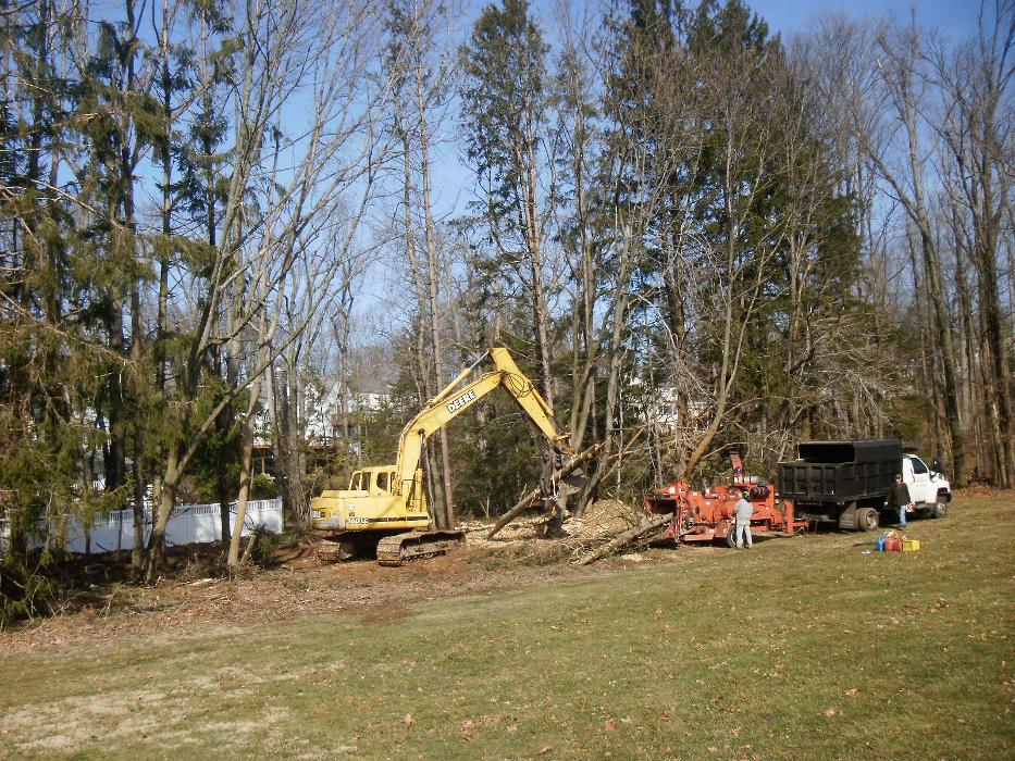 Moores Tree Service Image