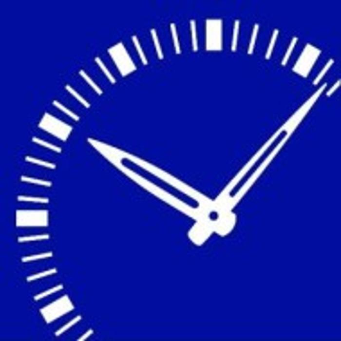 The Swiss Watch Service Group,Inc.