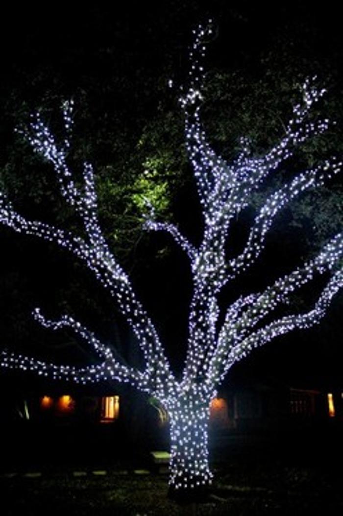 Premier Christmas Image