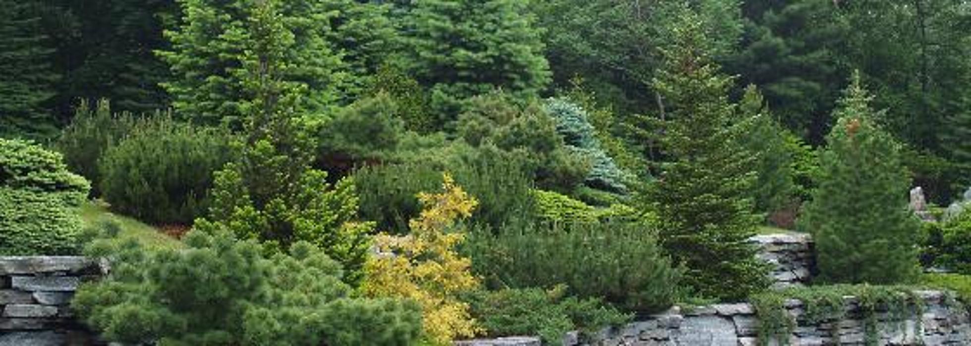 Michael Lawrence Associates LLC Logo