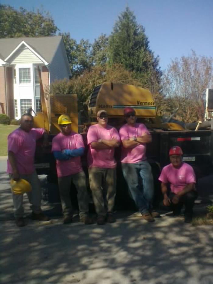Atlanta Classic Tree Service Image