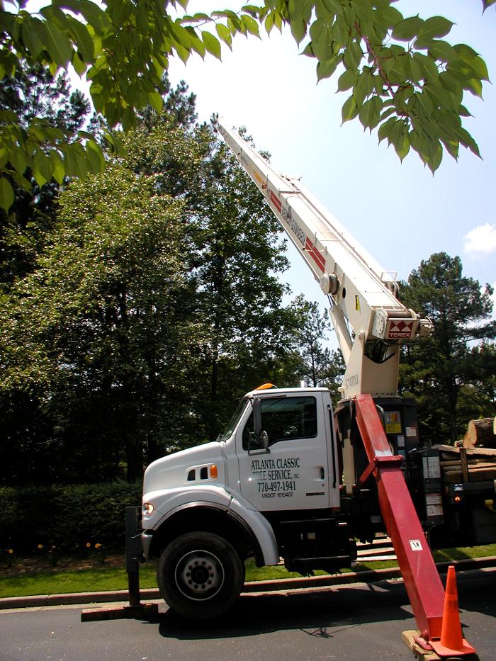 Atlanta Classic Tree Service Image