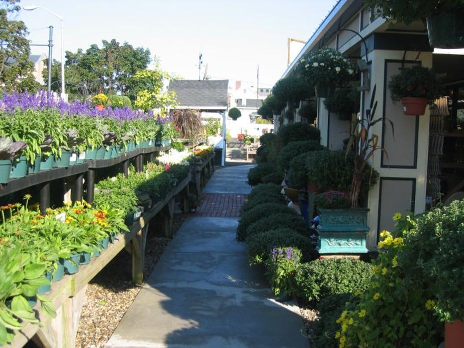 Pemberton Farms Marketplace Image