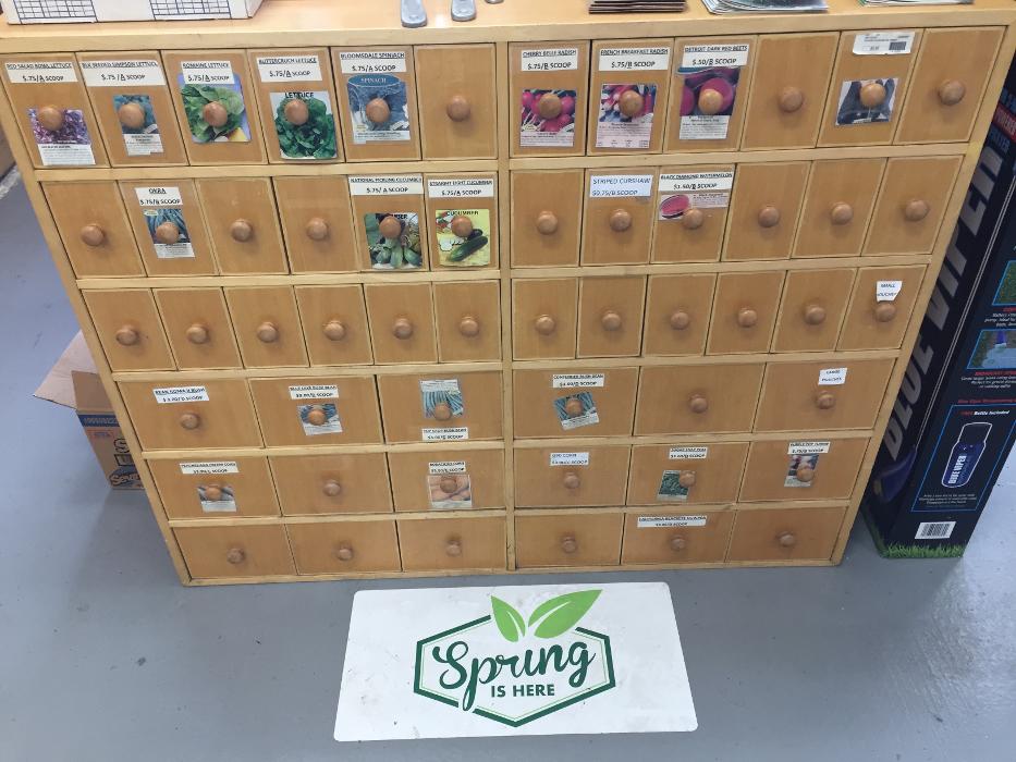 Hampton Lawn & Garden Image