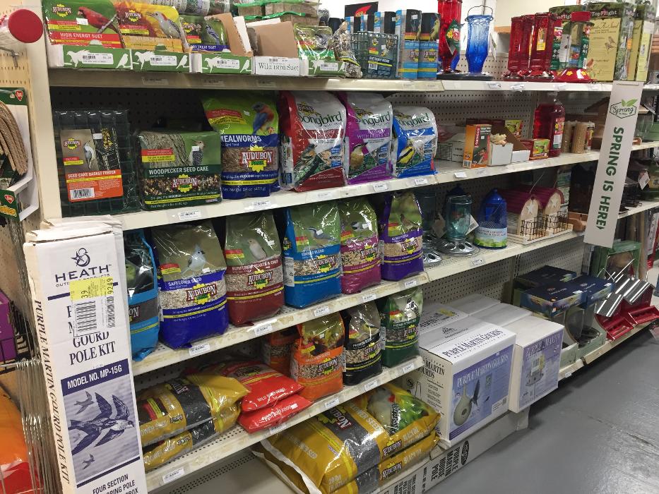 Hampton Lawn & Garden Image