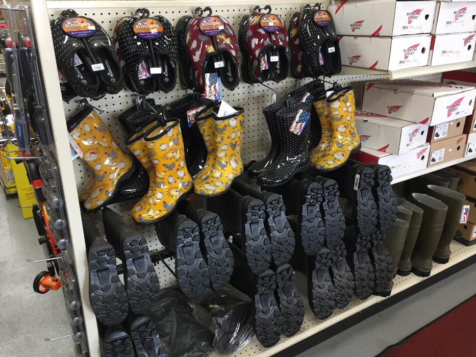 Hampton Lawn & Garden Image