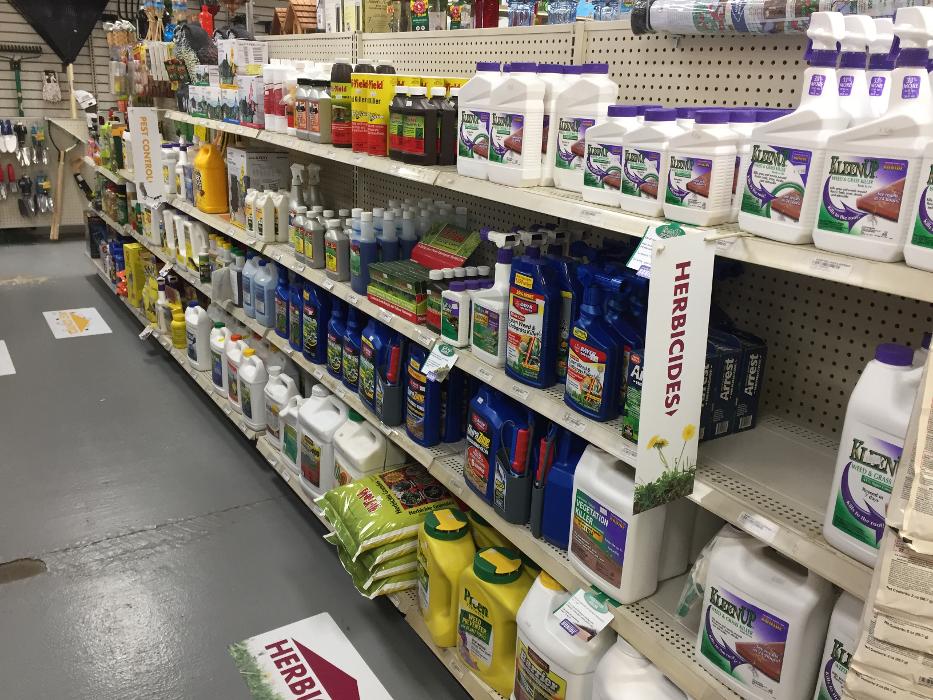 Hampton Lawn & Garden Image