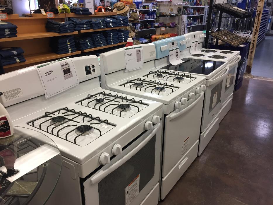 Hampton Lawn & Garden Image