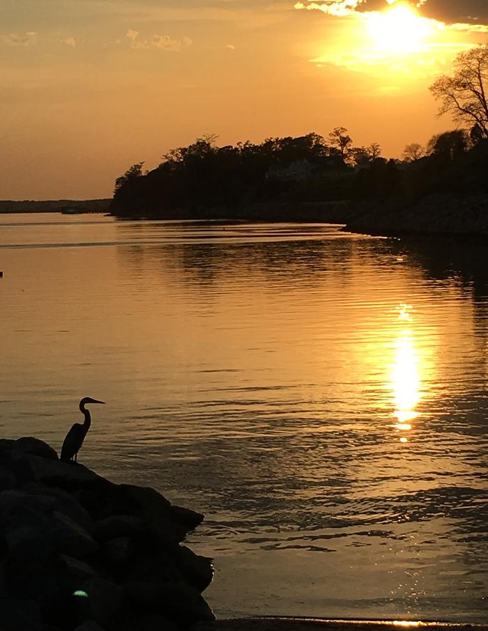 First Light Photography, LLC Logo