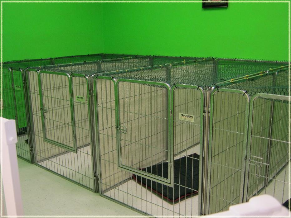 Tails Gone Wild Image