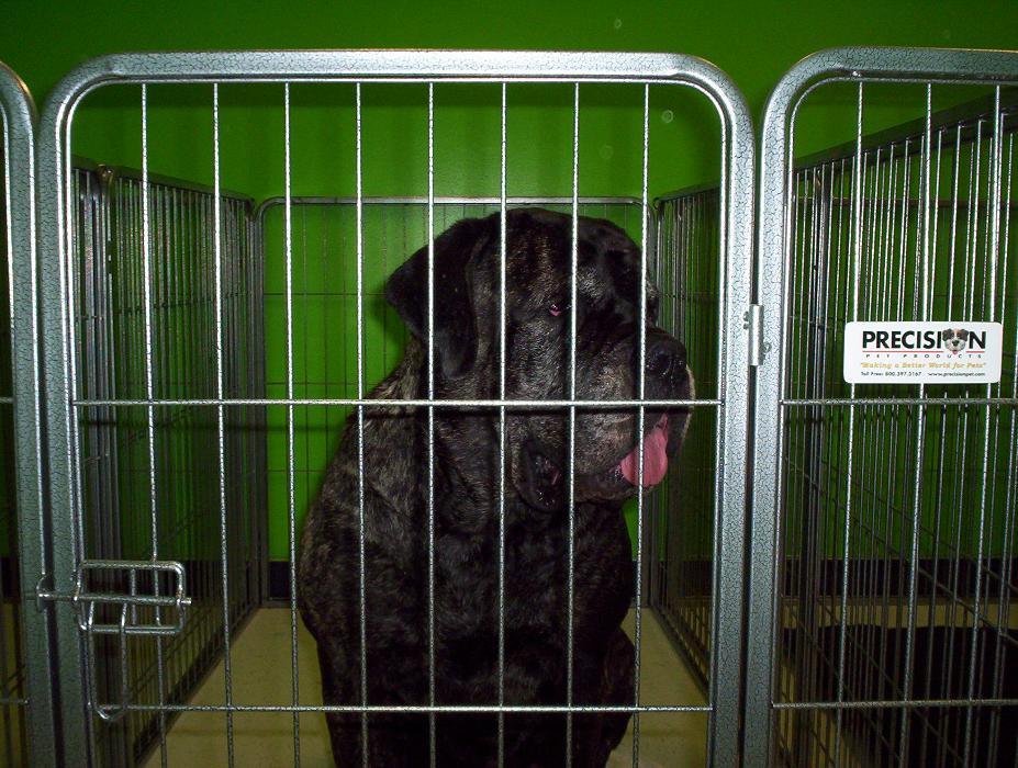 Tails Gone Wild Image