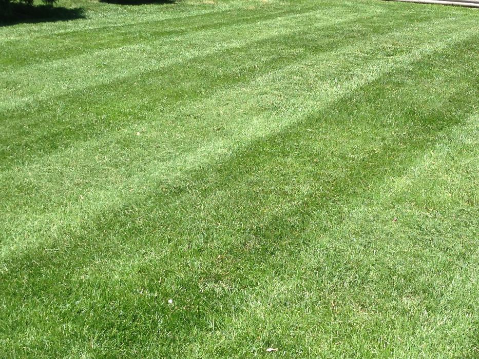 EB3Snowremoval LLC Image