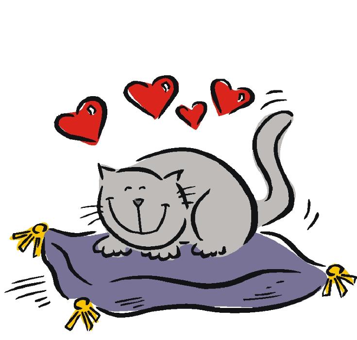 Cat Hospital of Vero Beach