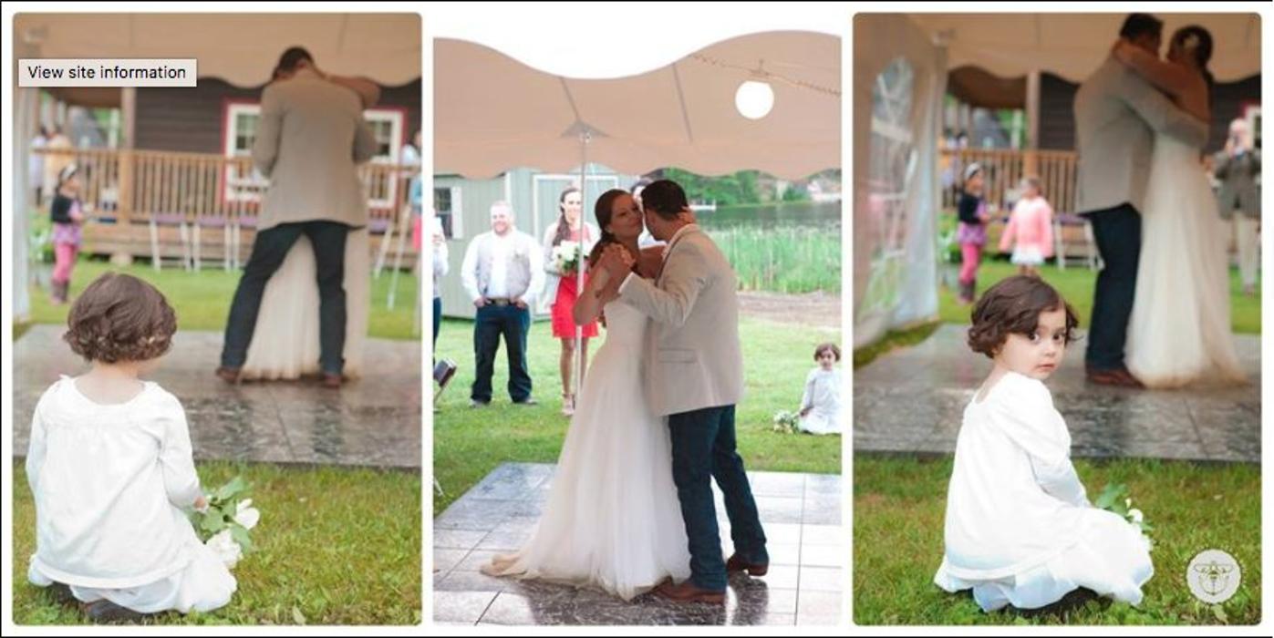 Twin Pines on Trout Lake Image