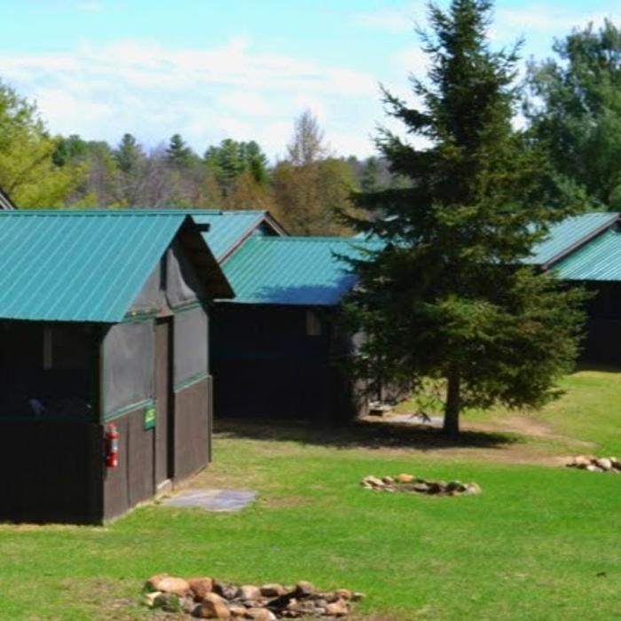 Twin Pines on Trout Lake Image