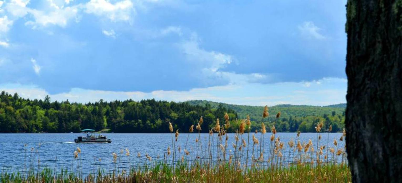 Twin Pines on Trout Lake Image