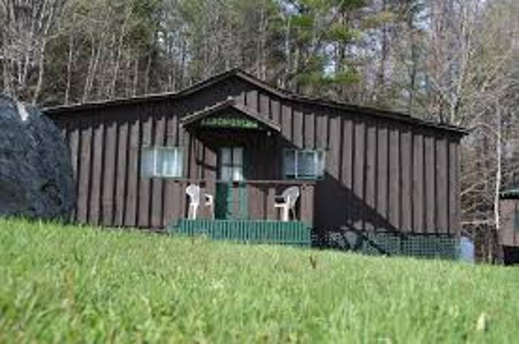 Twin Pines on Trout Lake Image