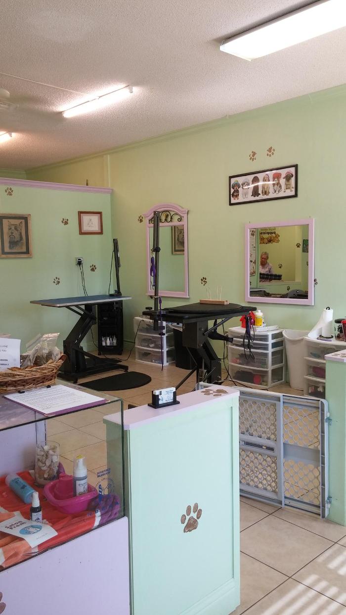 Soggy Doggy, LLC Image