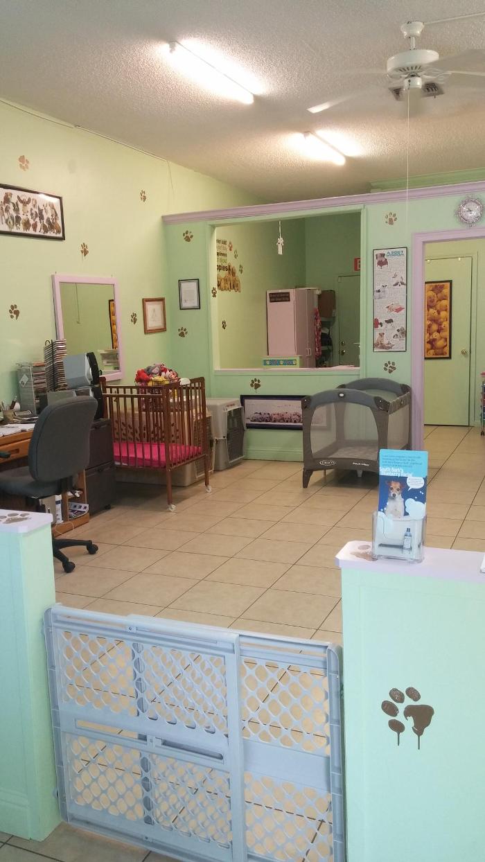 Soggy Doggy, LLC Image